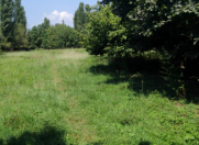 Satılır 115 sot torpaq Qəbələ