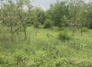 Satılır 7 sot torpaq Qəbələ