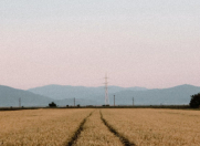 Satılır 600 sot torpaq Ağsu