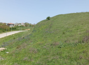 Satılır 53 sot torpaq Şamaxı