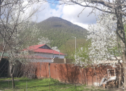 Satılır 3 sot torpaq Qəbələ