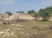 Satılır 3 sot torpaq Novxanı