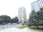 Satılır 4 otaqlı 224 m2 yeni tikili 28 May m.