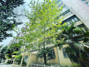 Satılır 2 otaqlı 70 m2 köhnə tikili Köhnə Günəşli