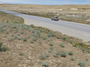 Satılır 100 sot torpaq Güzdək