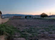 Satılır 19 sot torpaq Naxçıvan