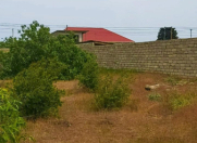 Satılır 8 sot torpaq Buzovna