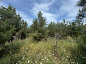 Satılır 30 sot torpaq Şüvəlan