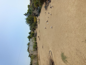 Satılır 6 sot torpaq Mərdəkan