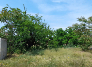 Satılır 11.5 sot torpaq Bilgəh