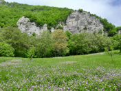 Satılır 42 sot torpaq Oğuz