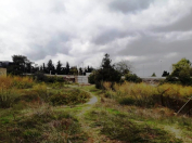 Satılır 6 sot torpaq Bilgəh