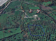 Satılır 16 sot torpaq Quba