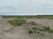 Satılır 100 sot torpaq Xaçmaz