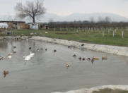 Satılır 981 sot torpaq Siyəzən