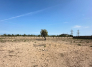 Satılır 42 sot torpaq Qala