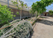 Satılır 7 otaqlı 1500 m2 obyekt Türkan