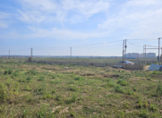 Satılır 8 sot torpaq Abşeron r.