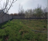 Satılır 24 sot torpaq Yevlax