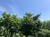 Satılır 4 otaqlı 1590 m2 həyət evi Xaçmaz