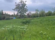 Satılır 8 sot torpaq İsmayıllı