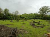 Satılır 6 sot torpaq Qusar