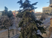 Satılır 1 otaqlı 32 m2 köhnə tikili 8 km