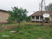 Satılır 12 sot torpaq Lənkəran