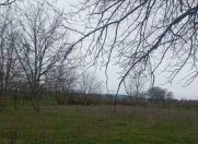 Satılır 30 sot torpaq Qəbələ