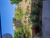 Satılır 13 sot torpaq Şüvəlan