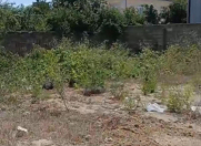 Satılır 3.8 sot torpaq Binə