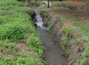 Satılır 80 sot torpaq Oğuz