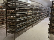 Satılır 13 otaqlı 15000 m2 obyekt Fatmayı