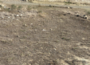 Satılır 12 sot torpaq Hökməli