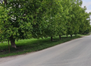 Satılır 8 sot torpaq Quba