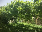 Satılır 5 otaqlı 1000 m2 villa İsmayıllı