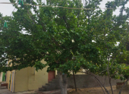 İcarəyə verilir 3 otaqlı 120 m2 bağ evi Sumqayıt