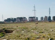 Satılır 150 sot torpaq Sumqayıt