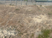 Satılır 6 sot torpaq Respublika stadionu