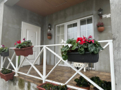 İcarəyə verilir 3 otaqlı 80 m2 həyət evi Qax