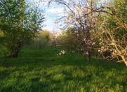 Satılır 11 sot torpaq İsmayıllı