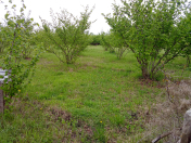 Satılır 12 sot torpaq Qusar