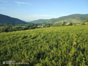 Satılır 115 sot torpaq Quba