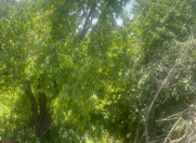 Satılır 4 otaqlı 82.3 m2 həyət evi Quba