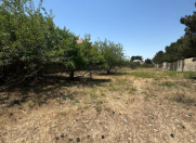 Satılır 25 sot torpaq Bilgəh