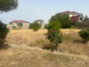 Satılır 13 sot torpaq Albalı