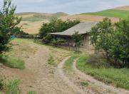 Satılır 5 otaqlı 132 m2 həyət evi Cəlilabad