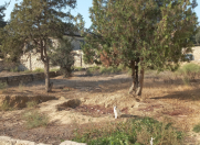 Satılır 4 sot torpaq Ramana