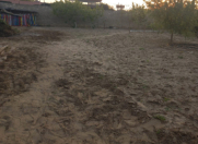 Satılır 4 sot torpaq Bilgəh