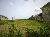 Satılır 9 sot torpaq Lənkəran